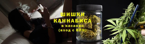 эйфоретик Покачи