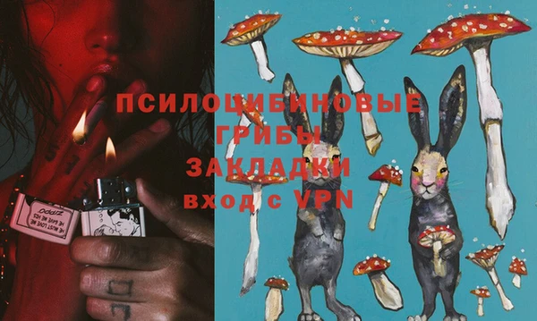 молекула духа Щучье