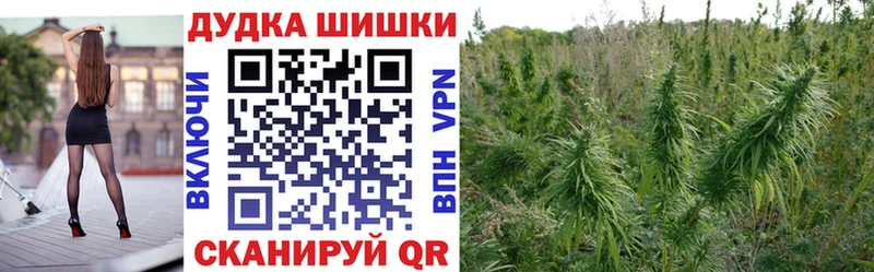 Бошки Шишки план  как найти   Сосенский 